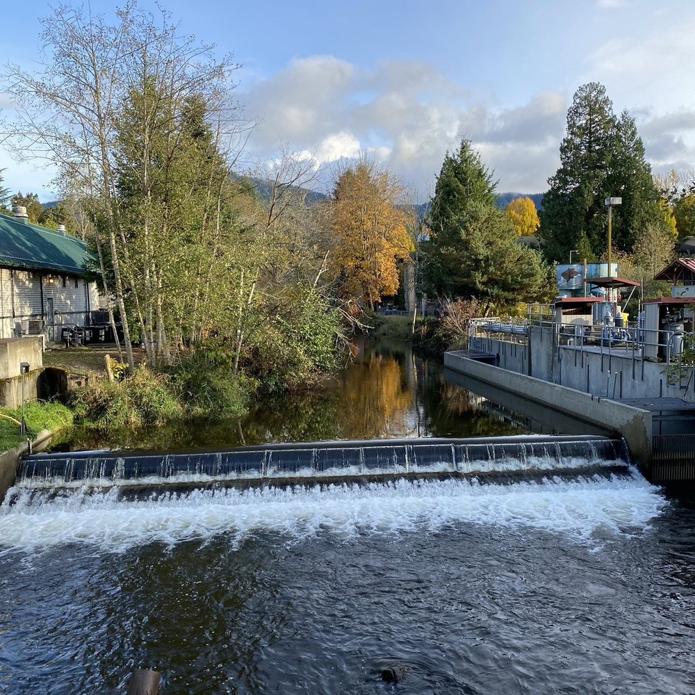 Skilled remodeler measuring wall layout before precise interior improvement installation