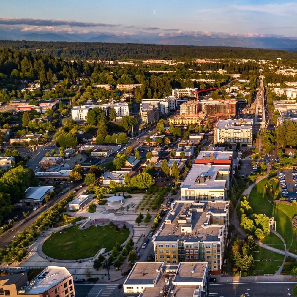 Homeowner reviewing personalized renovation plans for updated kitchen and living space layout