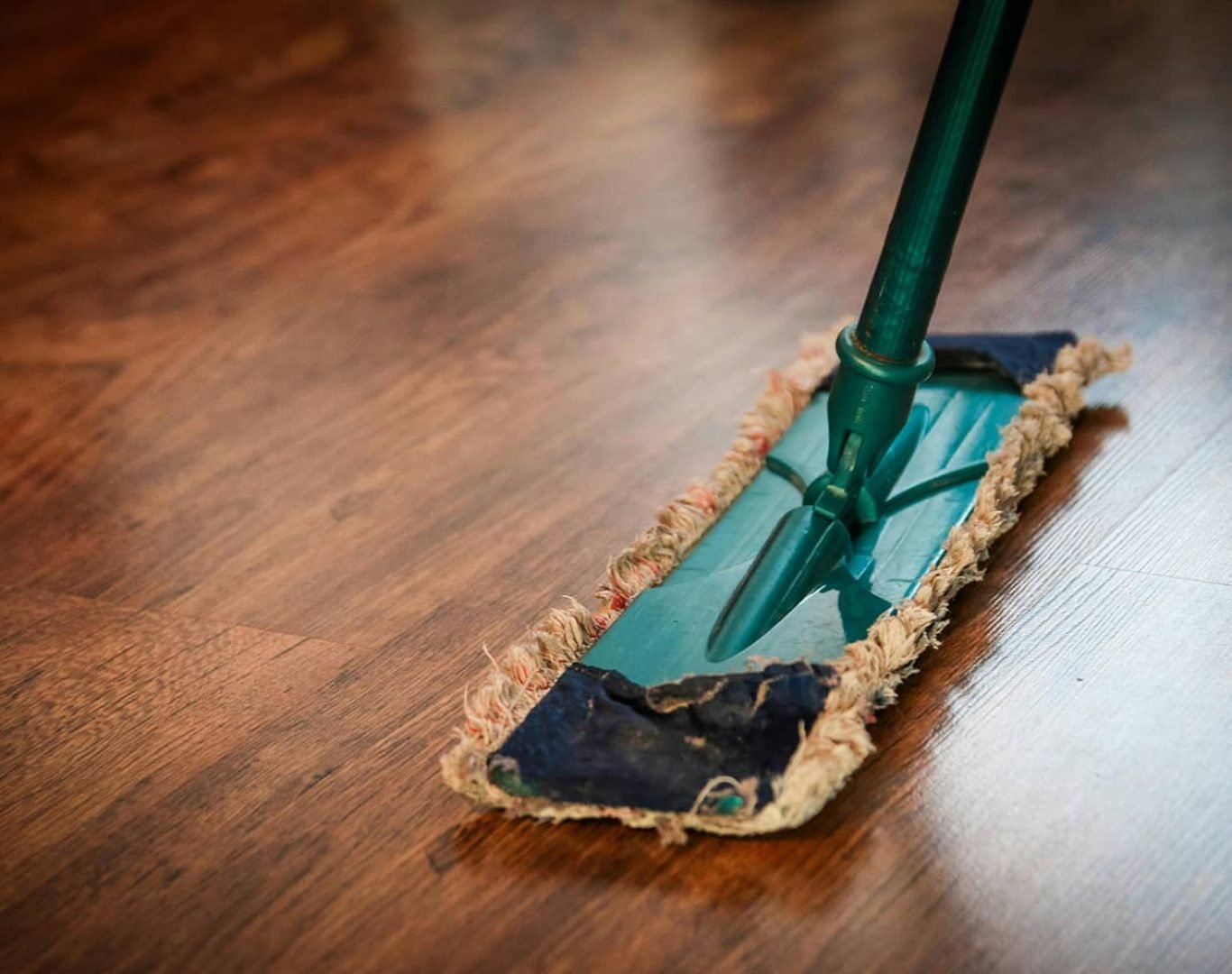 Move-in/out Cleans Near Me